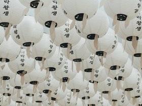 White Lantern Ribbon Seoul