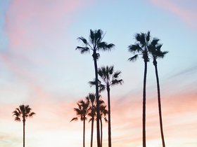 caroline-hernandez-vDemIkH_sVU-unsplash