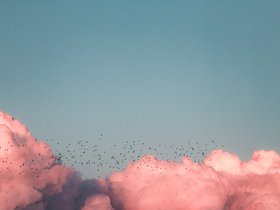 kenrick-mills-MF9Wy1NA55I-unsplash